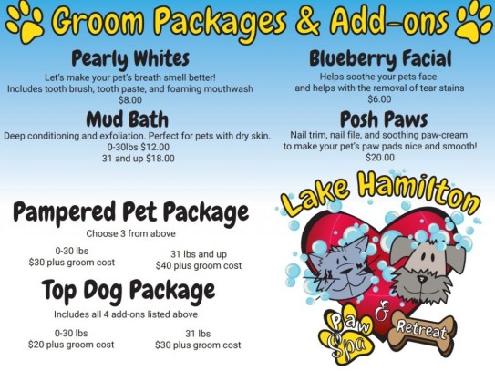 Pet Grooming in Greeley, CO: A Comprehensive Guide to Keeping Your Furry Friends Spotless and Healthy